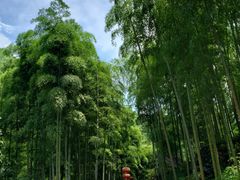 -山沟沟景区