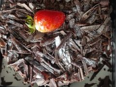 -幸福西饼生日蛋糕·下午茶(大明宫万达店)