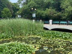 -大连植物园