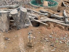 -福州动物园