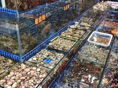 水产区-江杨农产品批发市场