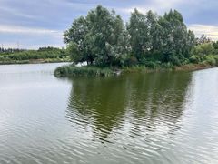 -马家湾湿地公园