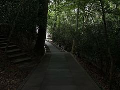 -上海佘山国家森林公园西佘山园