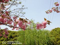 -昆山城市生态森林公园