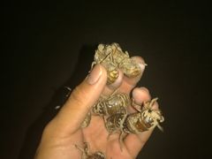 -68度C COFFEE(丞相府店)