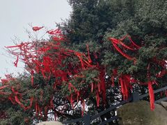 -缙云山景区