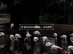 -九龙公园