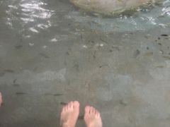 -碧水湾温泉