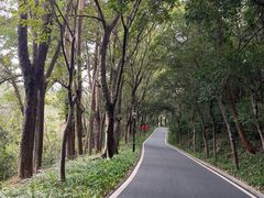 -广州雕塑公园
