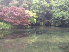 iphone_upload_pic-九溪烟树