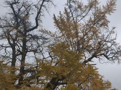 -贵阳蓬莱仙界