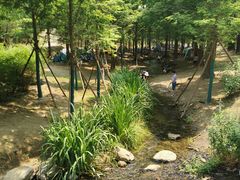 -白水寺森林公园