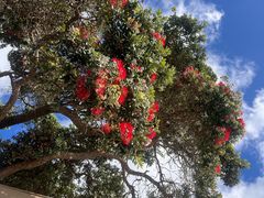 -Takapuna Beach Cafe