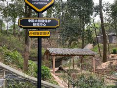 -碧峰峡风景区