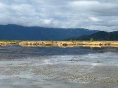 -泸沽湖国家级风景名胜区走婚桥