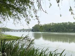 -昆山城市生态森林公园