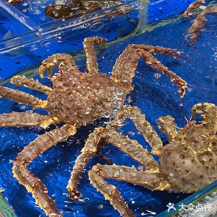 这家潮州菜好赞！就在拱北口岸耶！海鲜好新鲜！