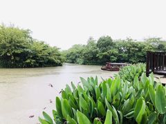 -太极禅苑