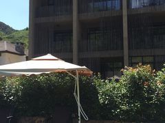 -看见远方·莫干遥远的山民宿