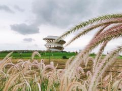 -光明小镇欢乐田园