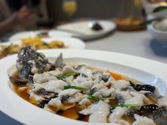 -九福楼大酒店