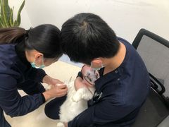 -萌兽医馆·绝育·24小时内科·宠物医院(德胜店)