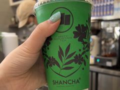 -雾与山茶(大禹城店)