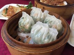 -蓝冰洋