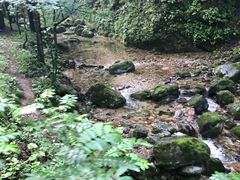 -牛背梁国家森林公园