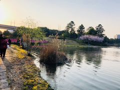 -美兰湖景区