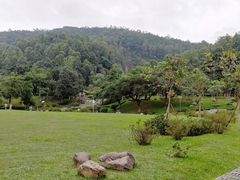 -火炉山森林公园