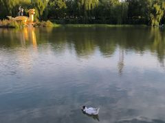 -南通濠河风景名胜区