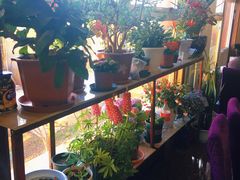 -北京龙庆四季香农家饭庄·灶台鱼·碳烤虹鳟鱼(龙庆峡店)