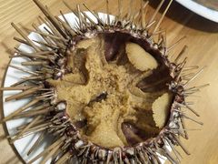 -海胆小馆(东北水饺·春柳店)