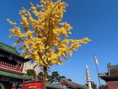 -天津大悲禅院