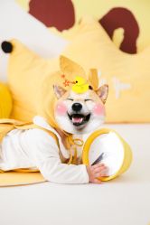 点击看大图 -幺幺BABY婚纱摄影