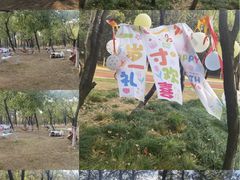 -艾溪湖湿地公园