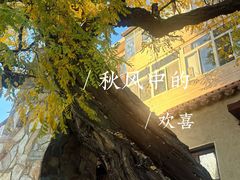 -静园(和平区)
