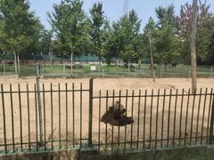 -秦皇岛野生动物园