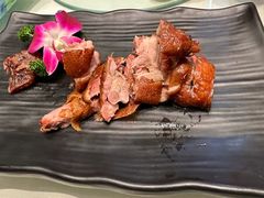 -芙蓉凰花园酒楼