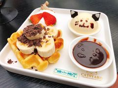 -猫小院猫主题咖啡厅(北锣店)