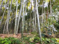 -同里国家湿地公园