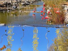 -鄂尔多斯野生动物园