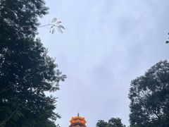-红花山公园