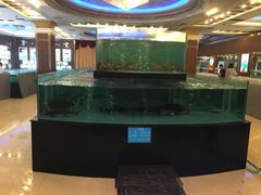 -都市阳光海鲜城(青山湖店)