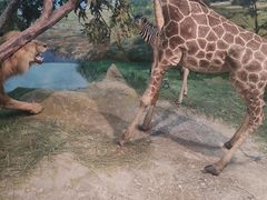 -吉林省自然博物馆