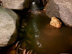 -碧桂园润杨溪谷温泉酒店