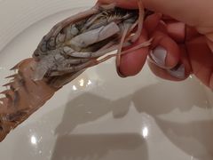 -Mr·Fish鱼鲜生海鲜放题(银泰in99店)