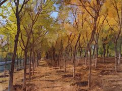 -永定河休闲森林公园