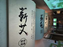 点击看大图 -阅年轻·AI家庭健康体质调理